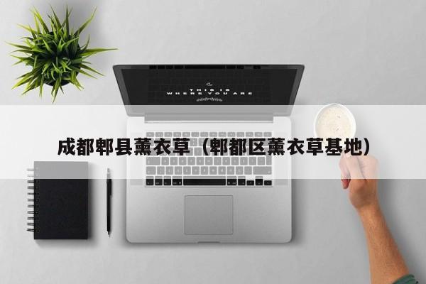 成都郫县薰衣草（郫都区薰衣草基地）
