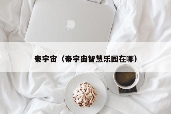 秦宇宙（秦宇宙智慧乐园在哪）