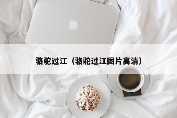 骆驼过江（骆驼过江图片高清）
