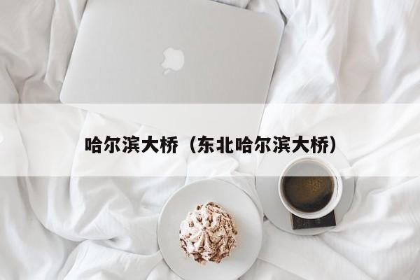 哈尔滨大桥（东北哈尔滨大桥）